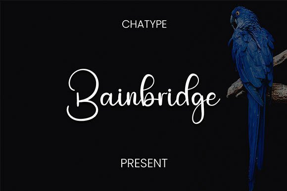 Bainbridge: The Handwritten Typeface That Elevates Campaign Visuals