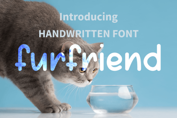 Furfriend: A Designer's Honest Review for Real Projects
