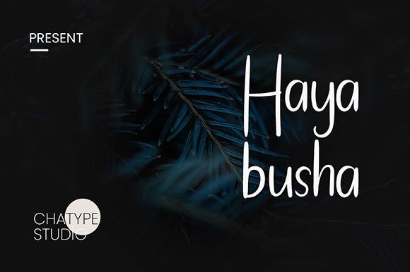 Hayabusha: The Handwritten Typeface for Scroll-Stopping Campaigns