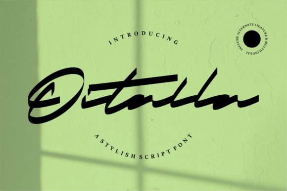 Oitalla: The Handwritten Typeface That Transformed My Brand