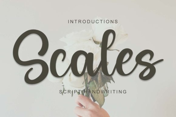 Scales: The Handwritten Typeface That Transformed My Small Business Brand